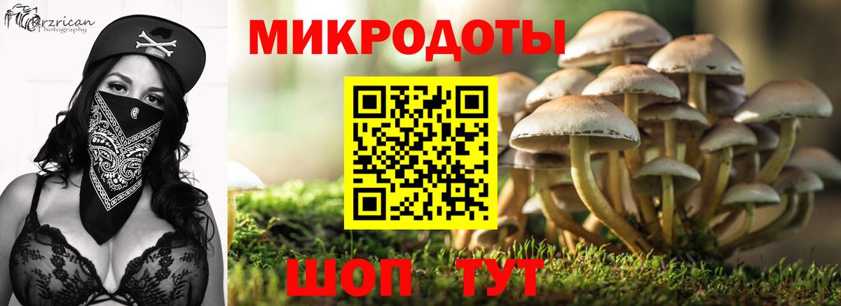 Галлюциногенные грибы Magic Shrooms  Галлюциногенные грибы GOLDEN TEACHER  Тольятти  Вход с VPN 